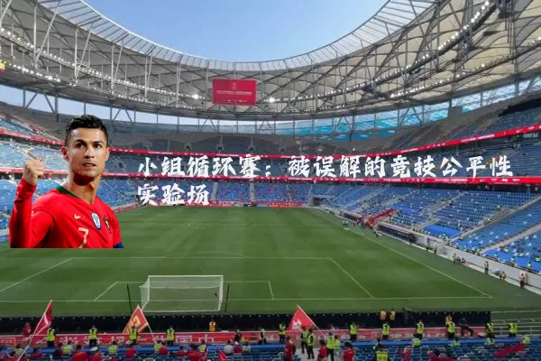 小组循环赛：被误解的竞技公平性实验场