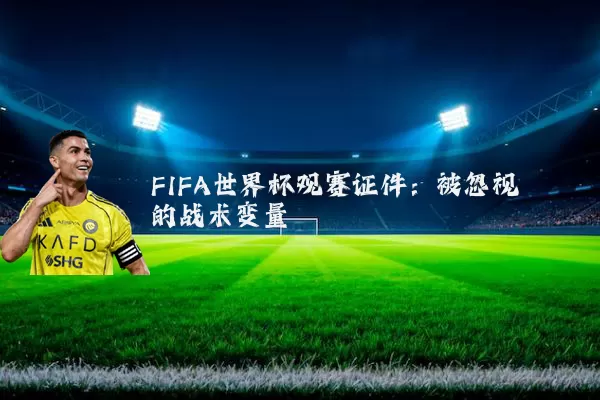 FIFA世界杯观赛证件：被忽视的战术变量